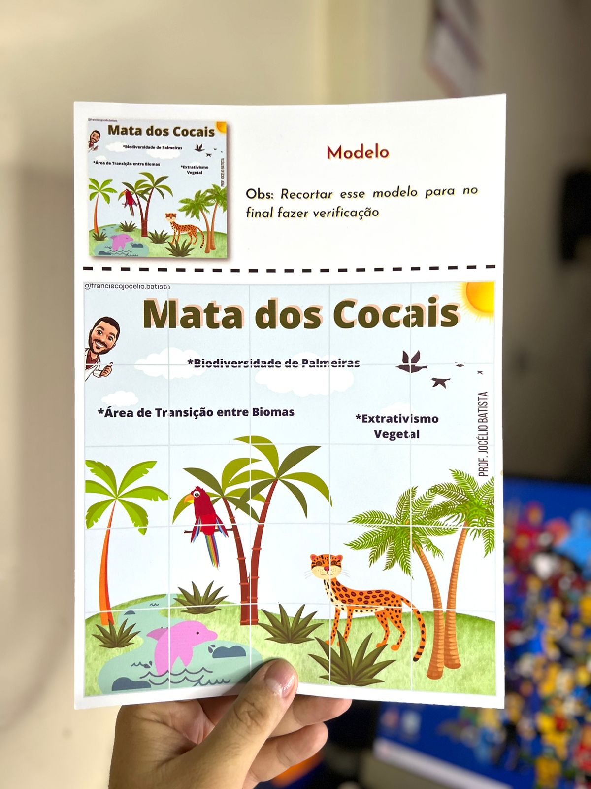 Quebra dos Biomas - Imagem 2