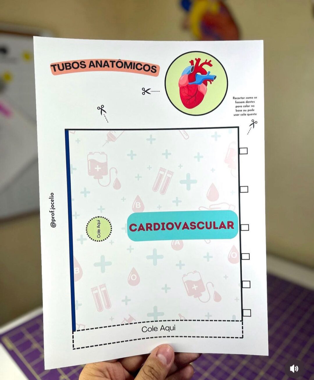Tubos Anatômicos - Imagem 3