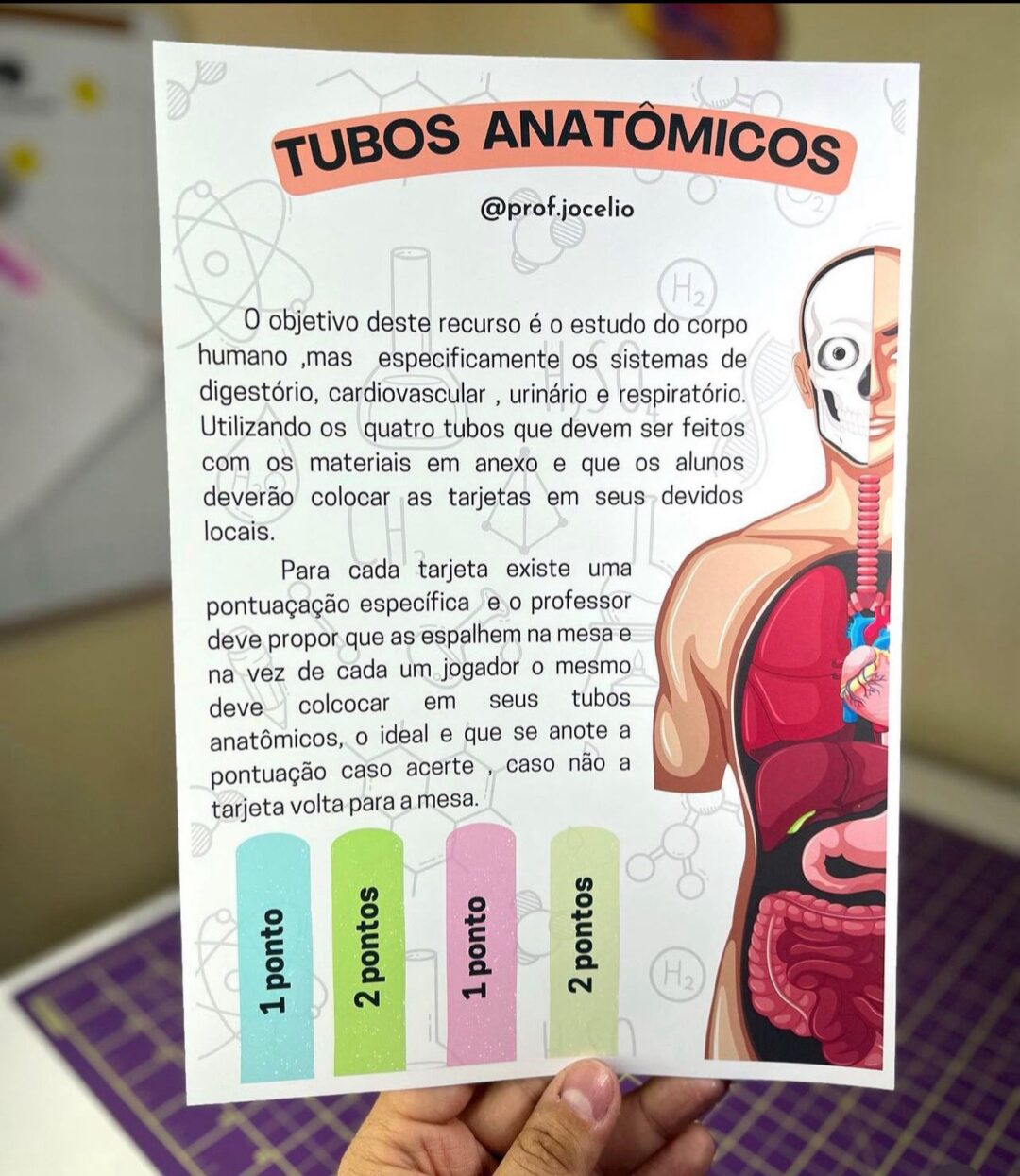 Tubos Anatômicos - Imagem 4