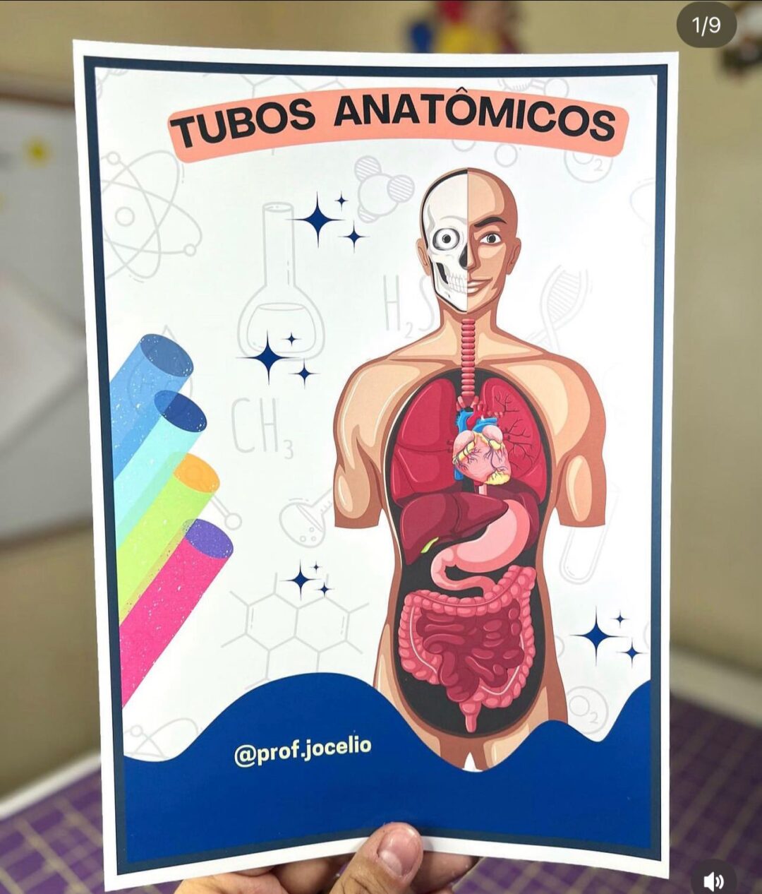 Tubos Anatômicos - Imagem 5