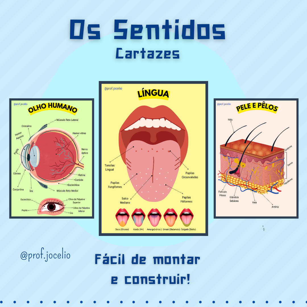 Os Sentidos - Cartazes