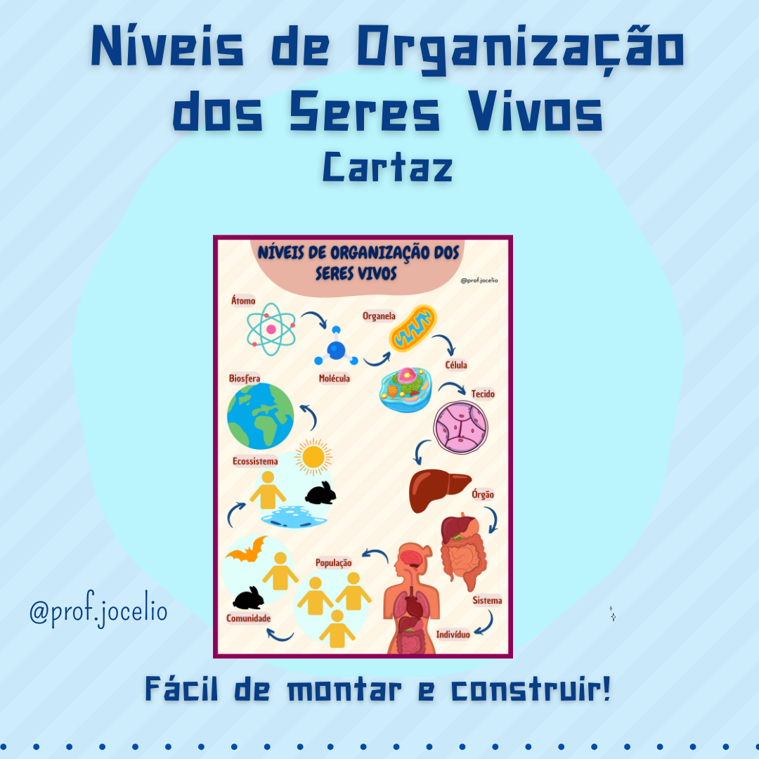 Níveis de Organização dos Seres Vivos - Cartaz