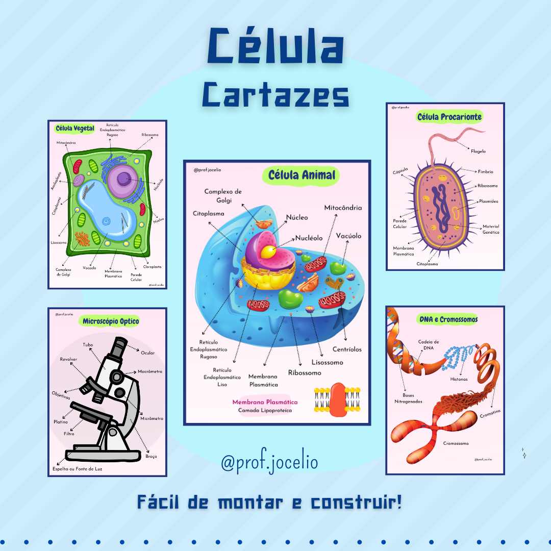 As Células - Cartazes