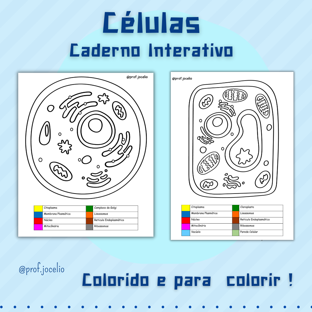 As Células - Caderno Interativo