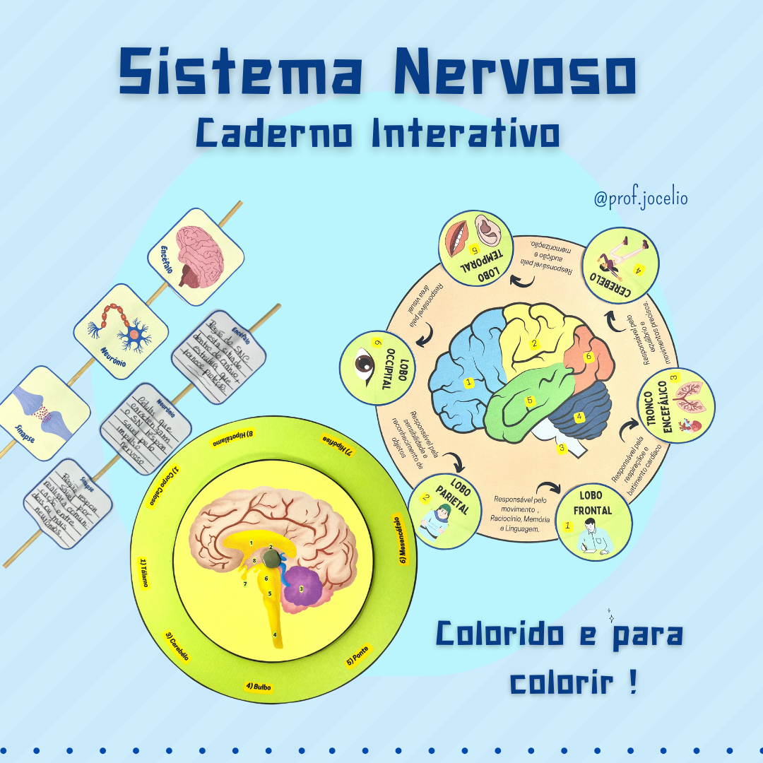 Sistema Nervoso - Caderno Interativo
