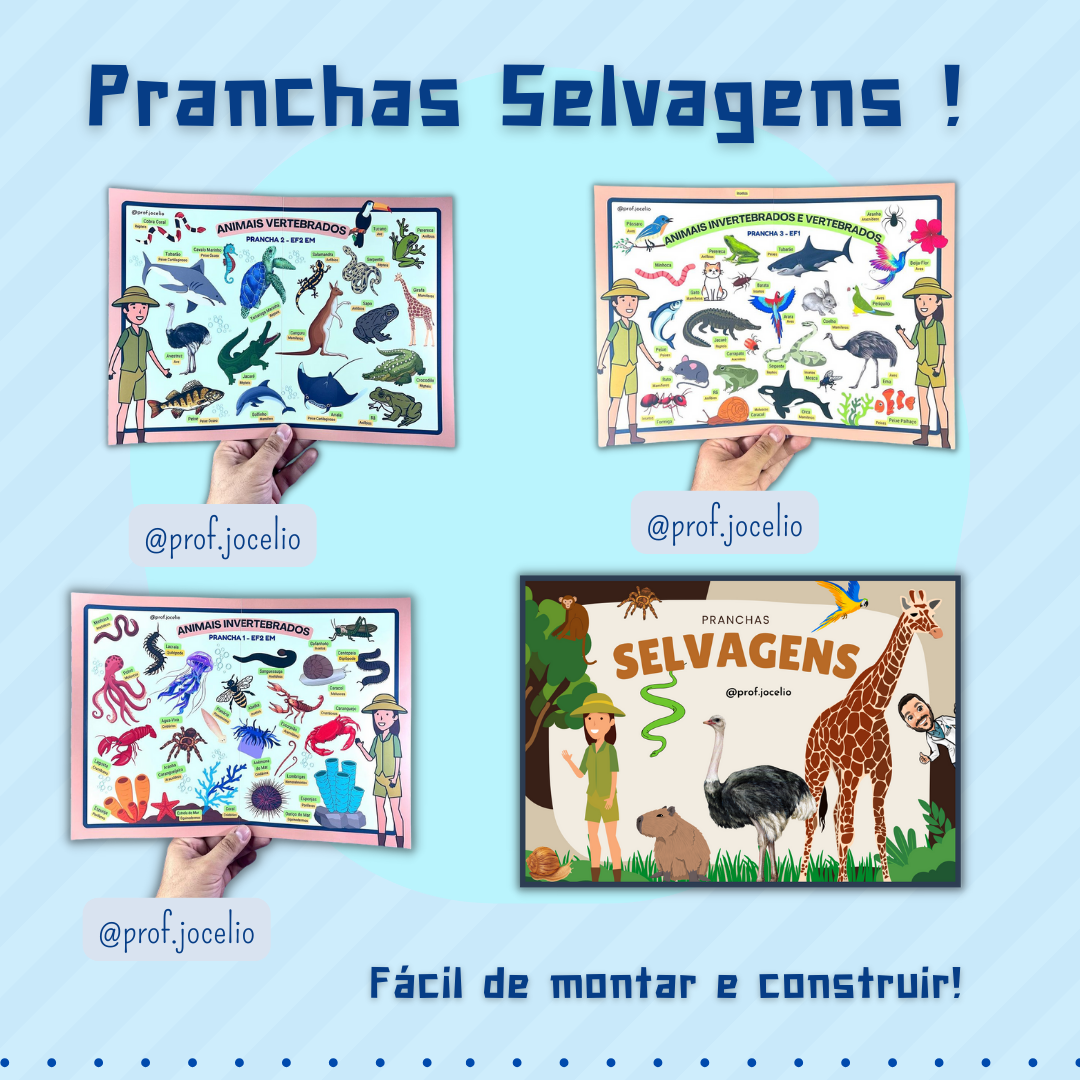 Pranchas Selvagens