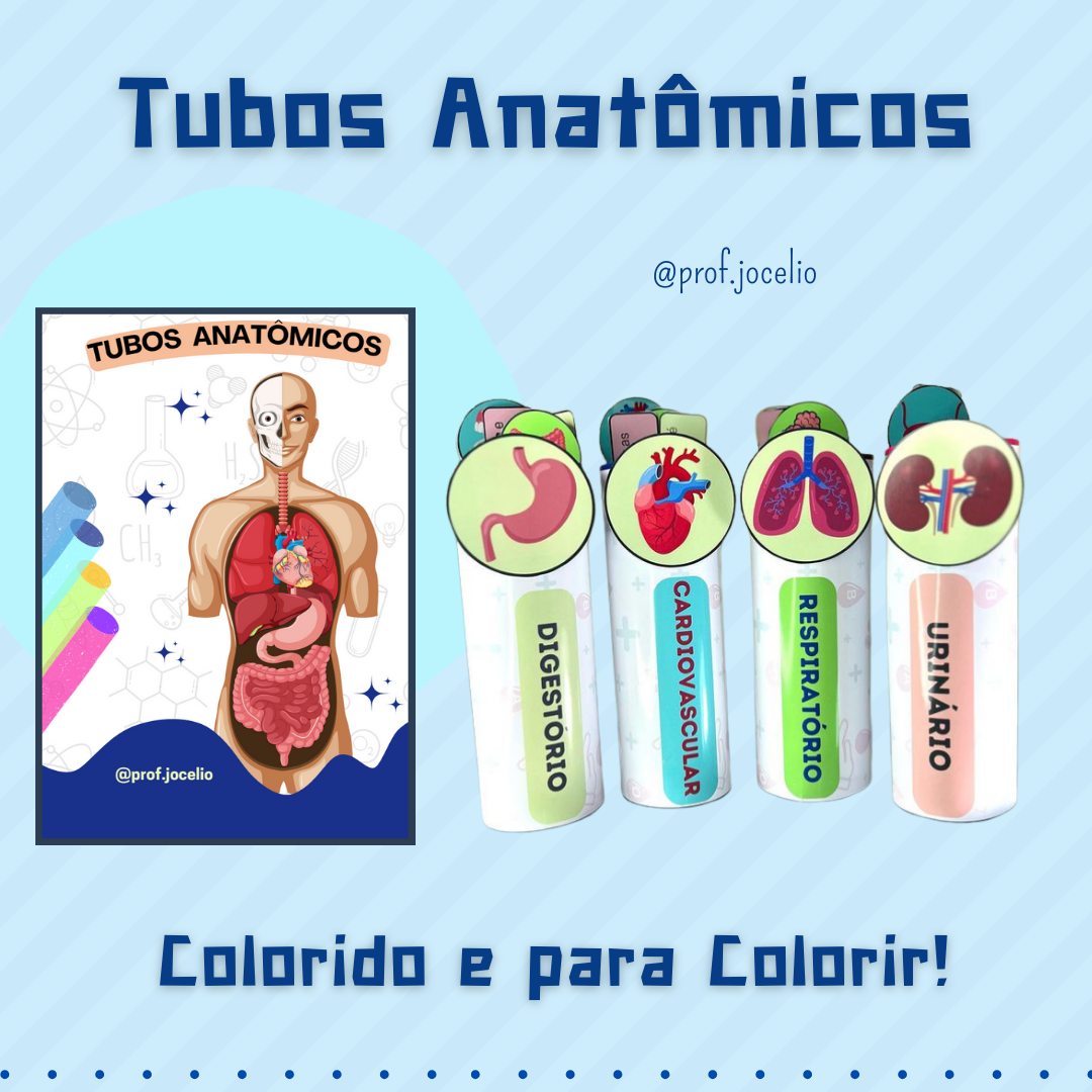 Tubos Anatômicos