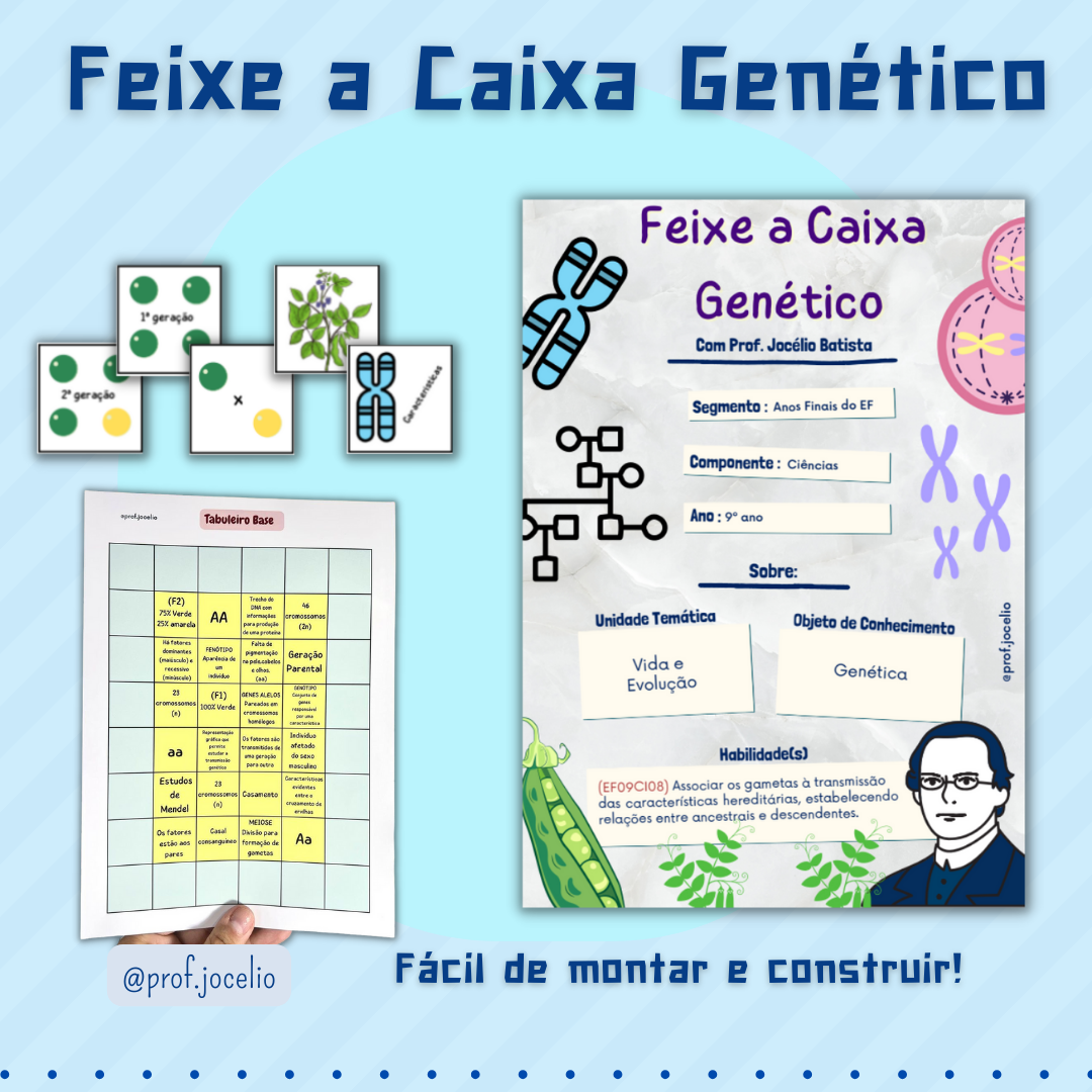 Feixe a Caixa Genético
