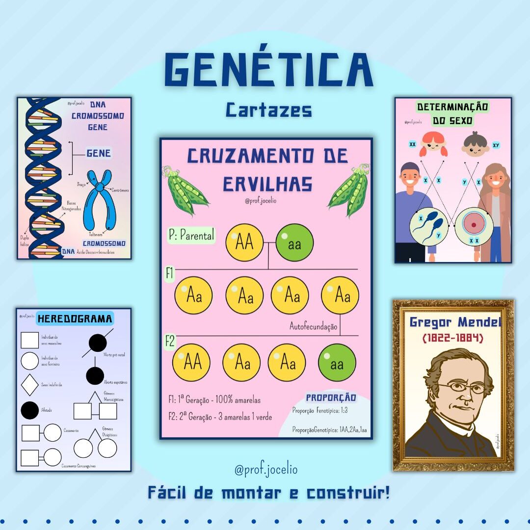 Genética Cartazes