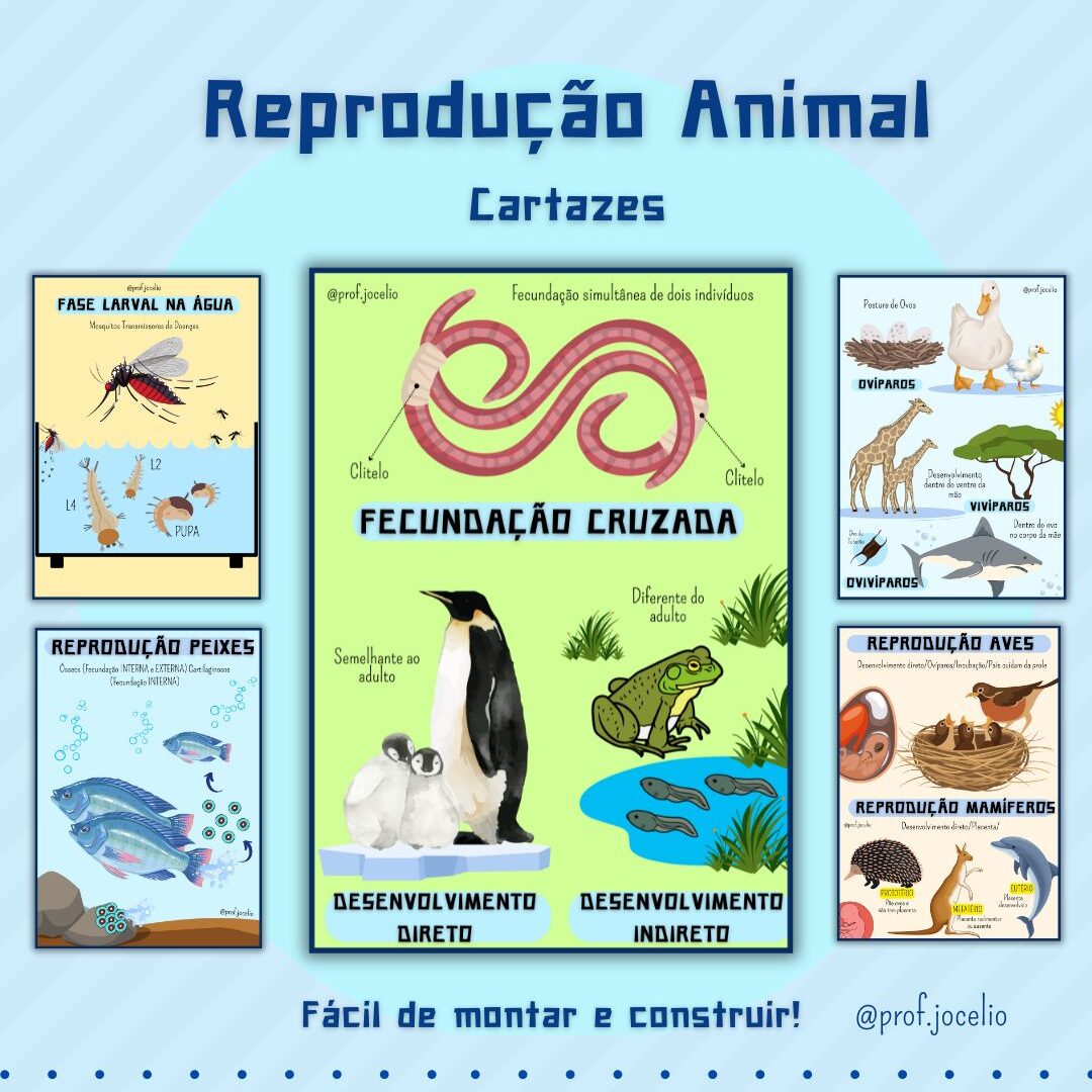 Reprodução Animal Cartazes
