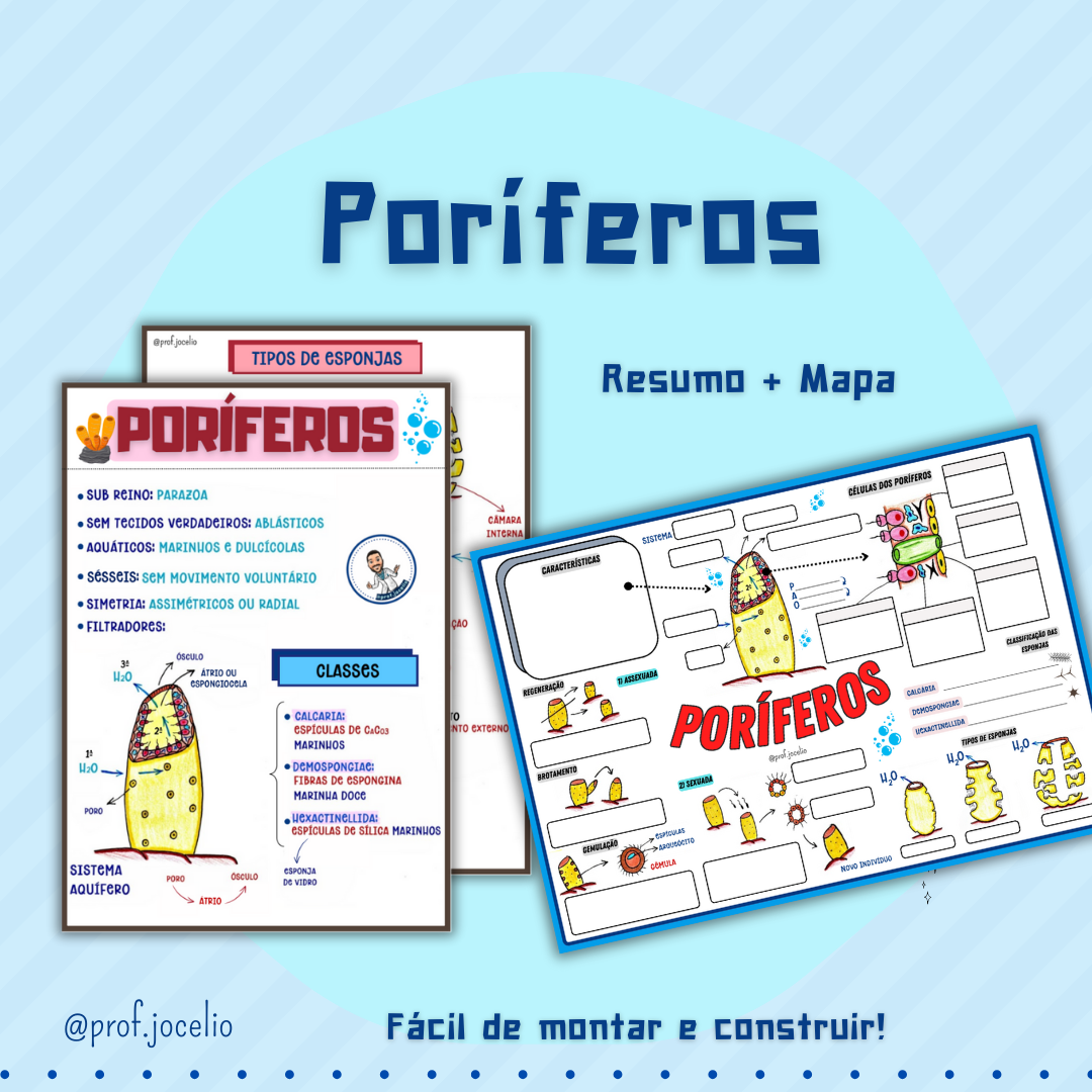 Poríferos Resumo e Mapa
