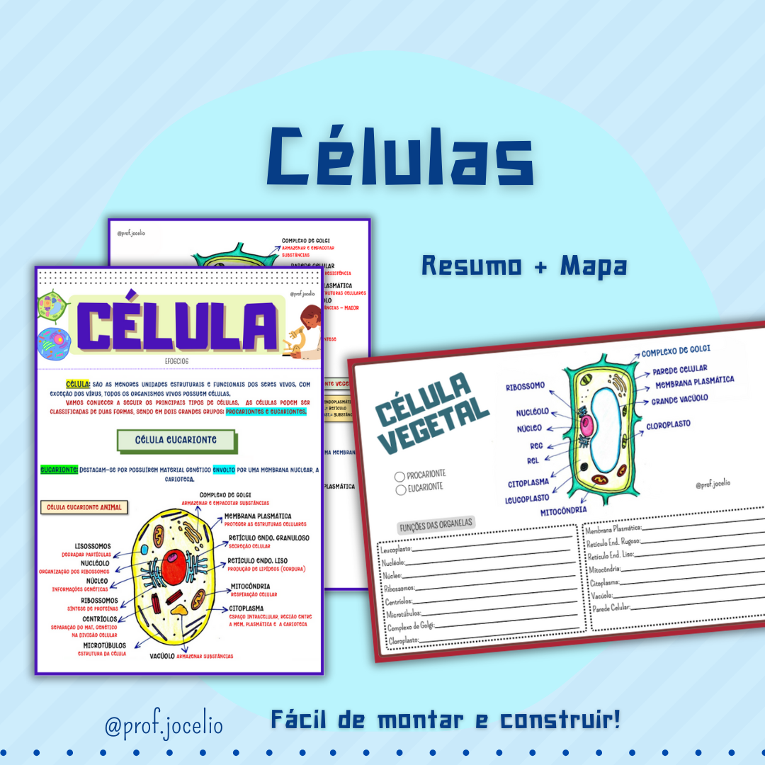 Células Mapa e Resumo
