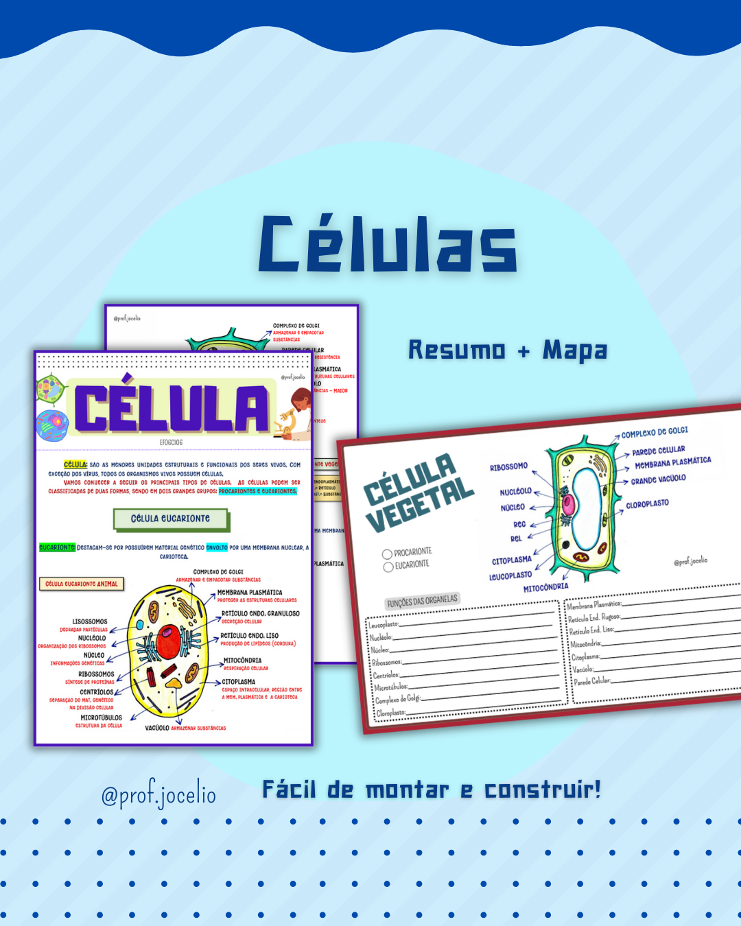 Células Mapa e Resumo
