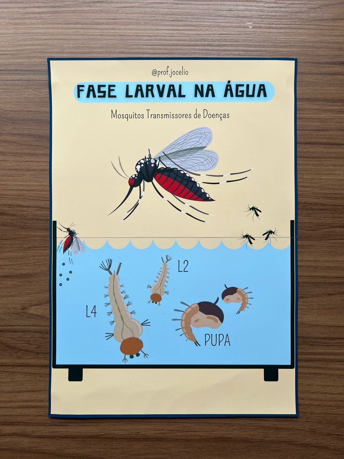 Reprodução Animal Cartazes - Imagem 6