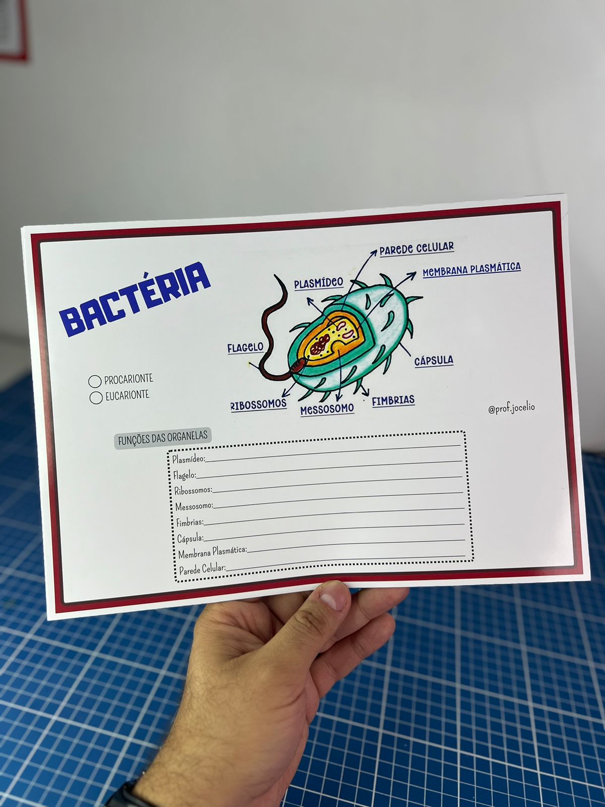 Células Mapa e Resumo - Imagem 7