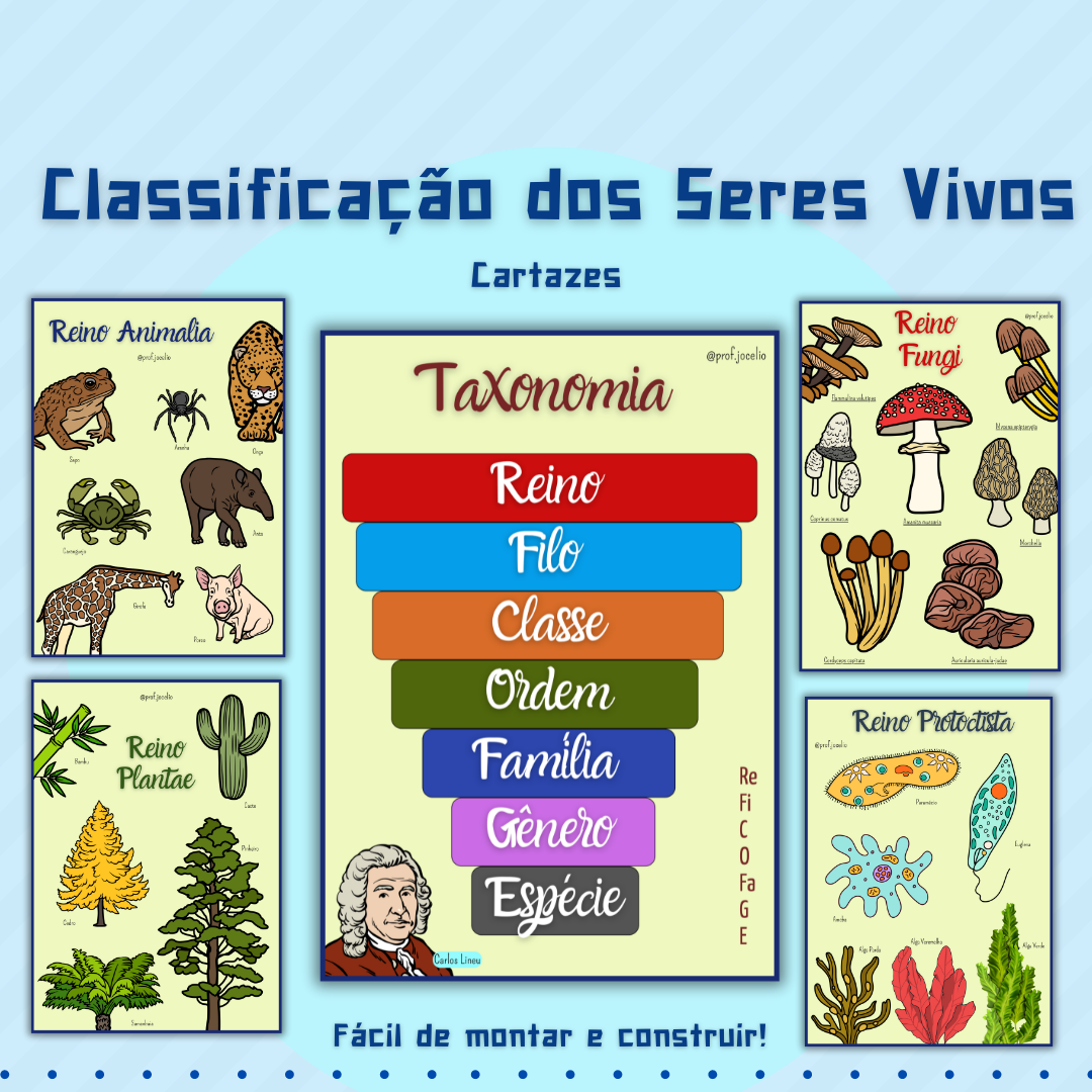 Classificação dos Seres Vivos - Cartazes