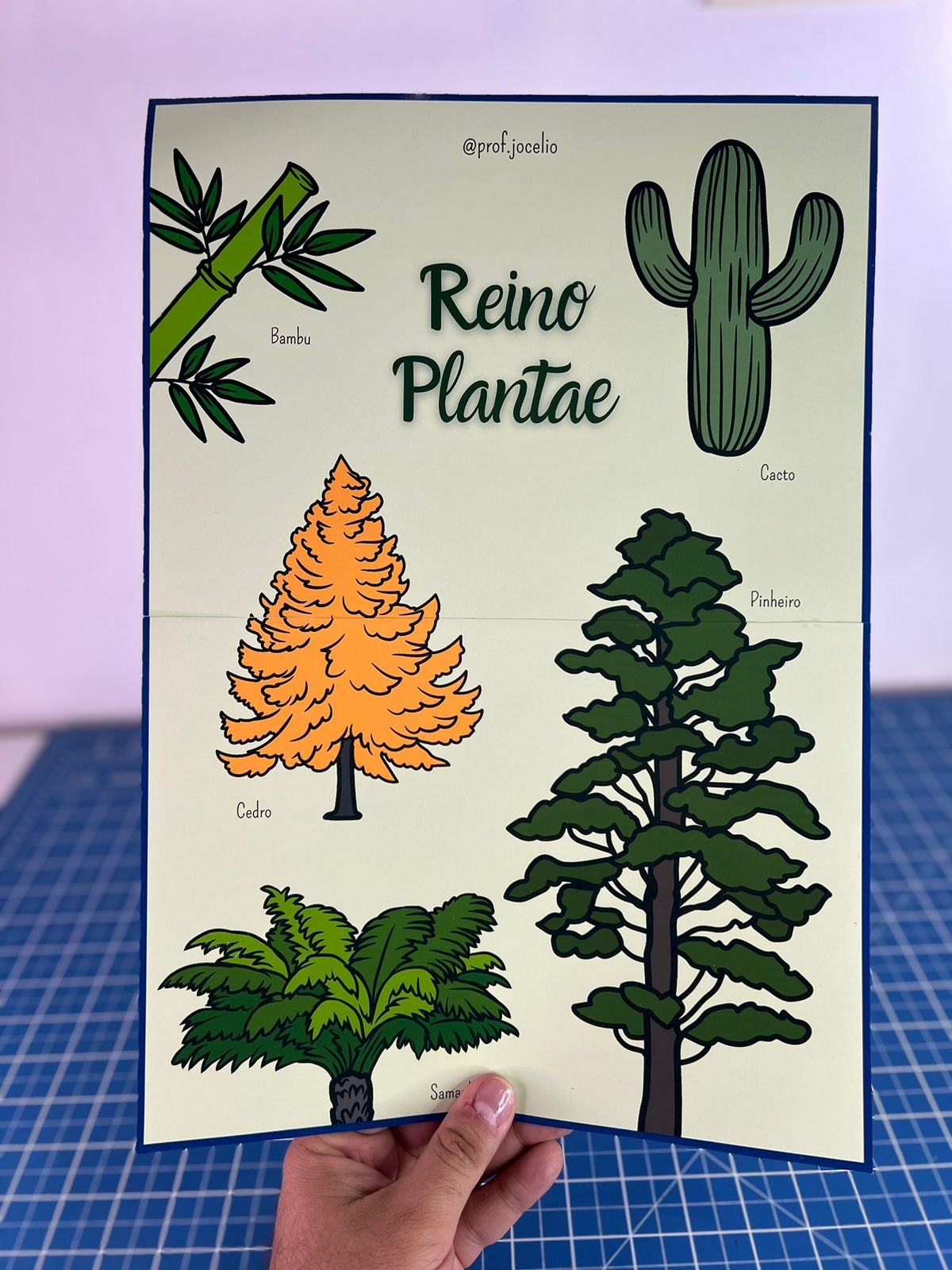 Classificação dos Seres Vivos - Cartazes - Imagem 7