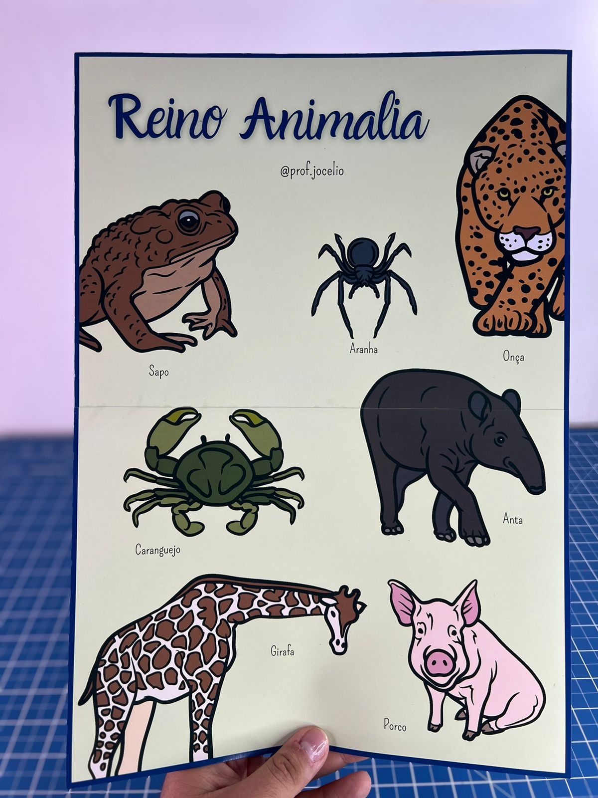 Classificação dos Seres Vivos - Cartazes - Imagem 6