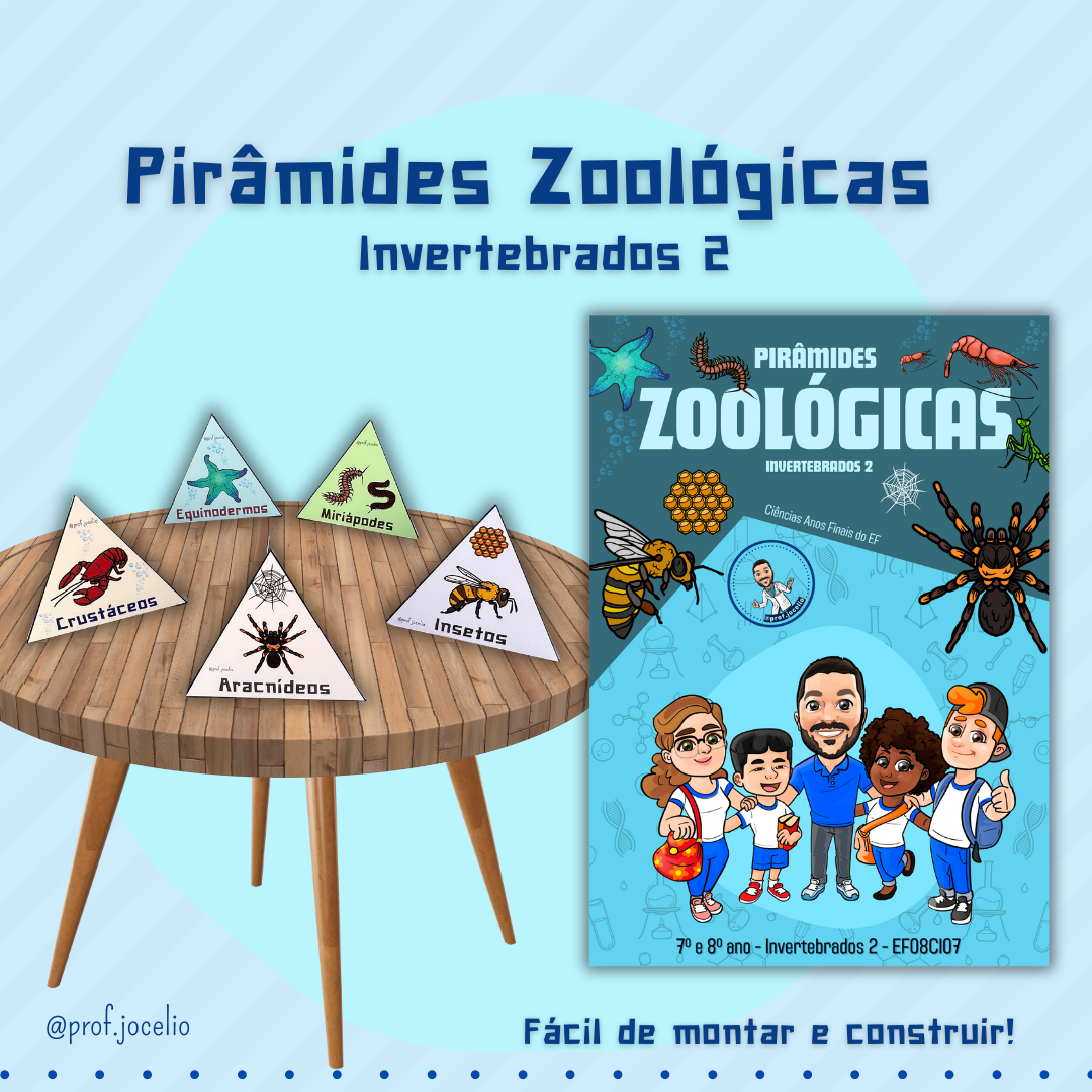 Pirâmides Zoológicas – Invertebrados 2