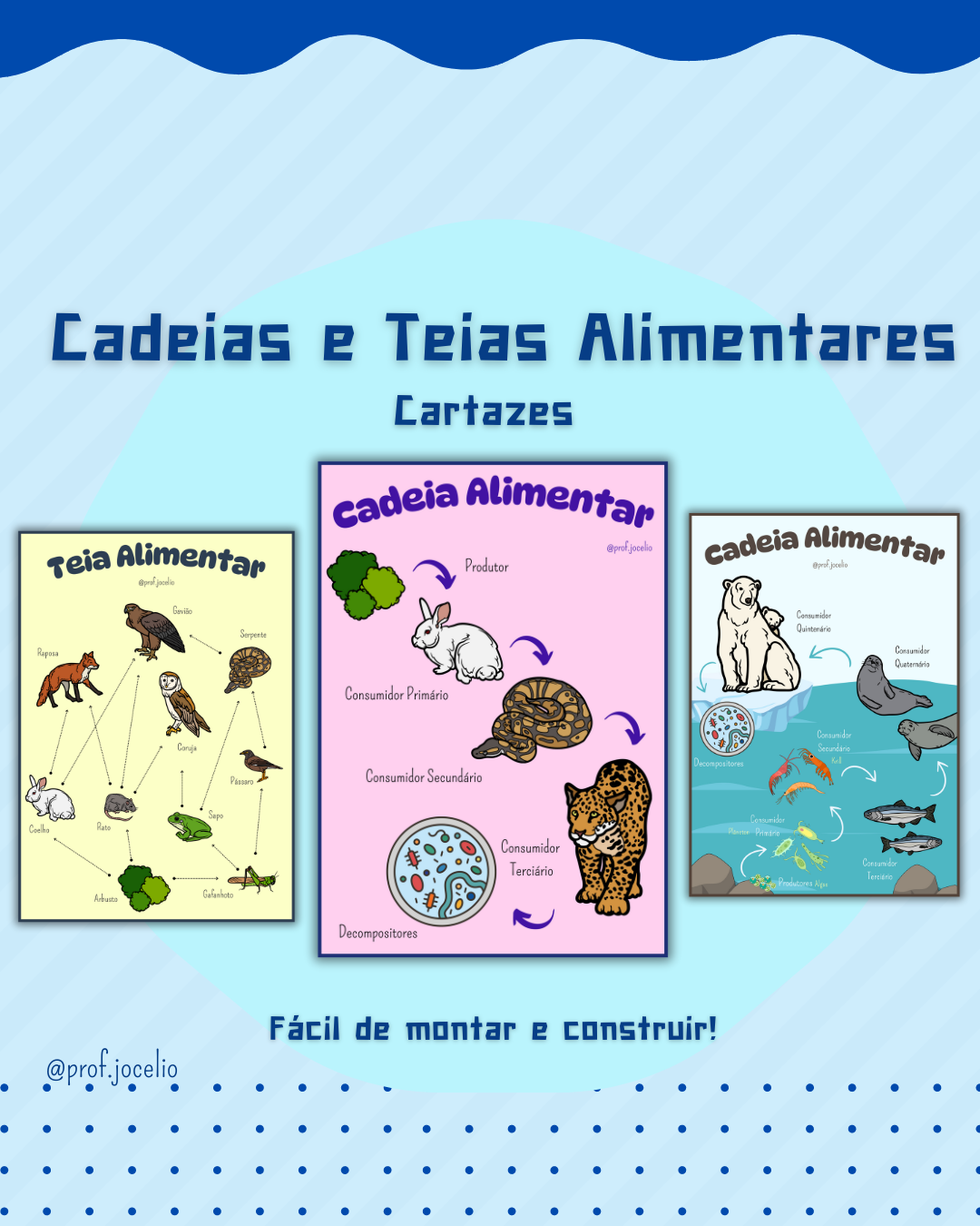 Cadeias e Teias Alimentares