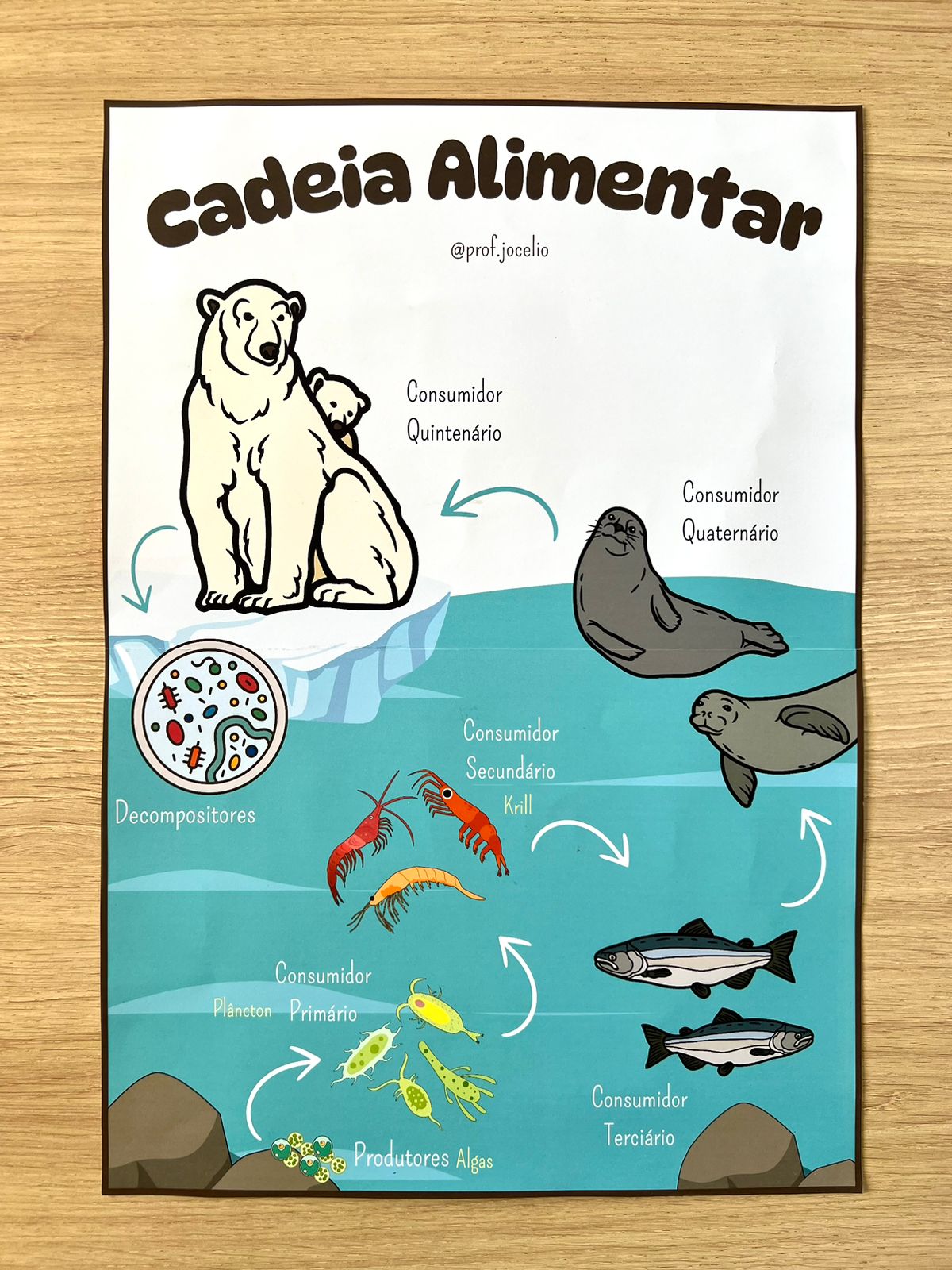 Cadeias e Teias Alimentares - Imagem 3