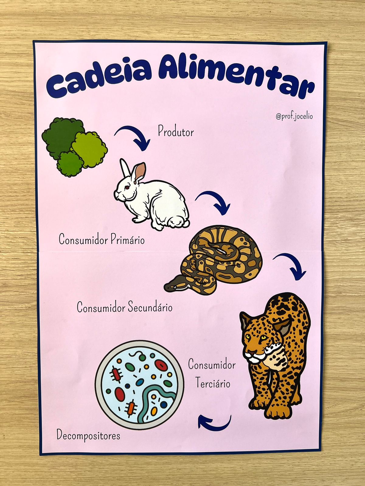 Cadeias e Teias Alimentares - Imagem 2
