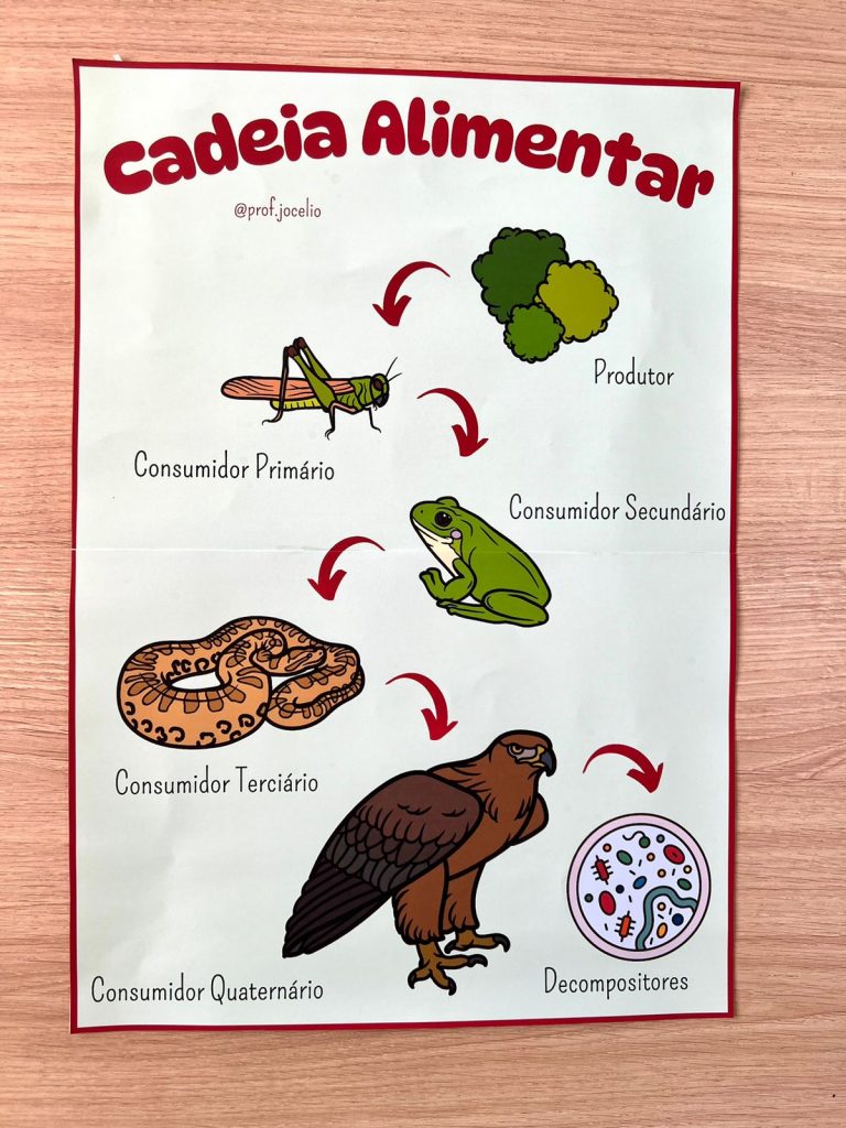 Cadeias e Teias Alimentares – Cartazes – Sua Loja de Atividades ...