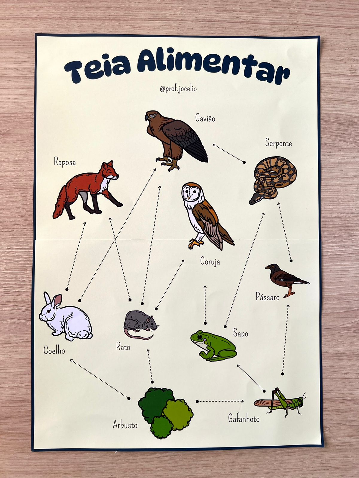 Cadeias e Teias Alimentares - Imagem 4