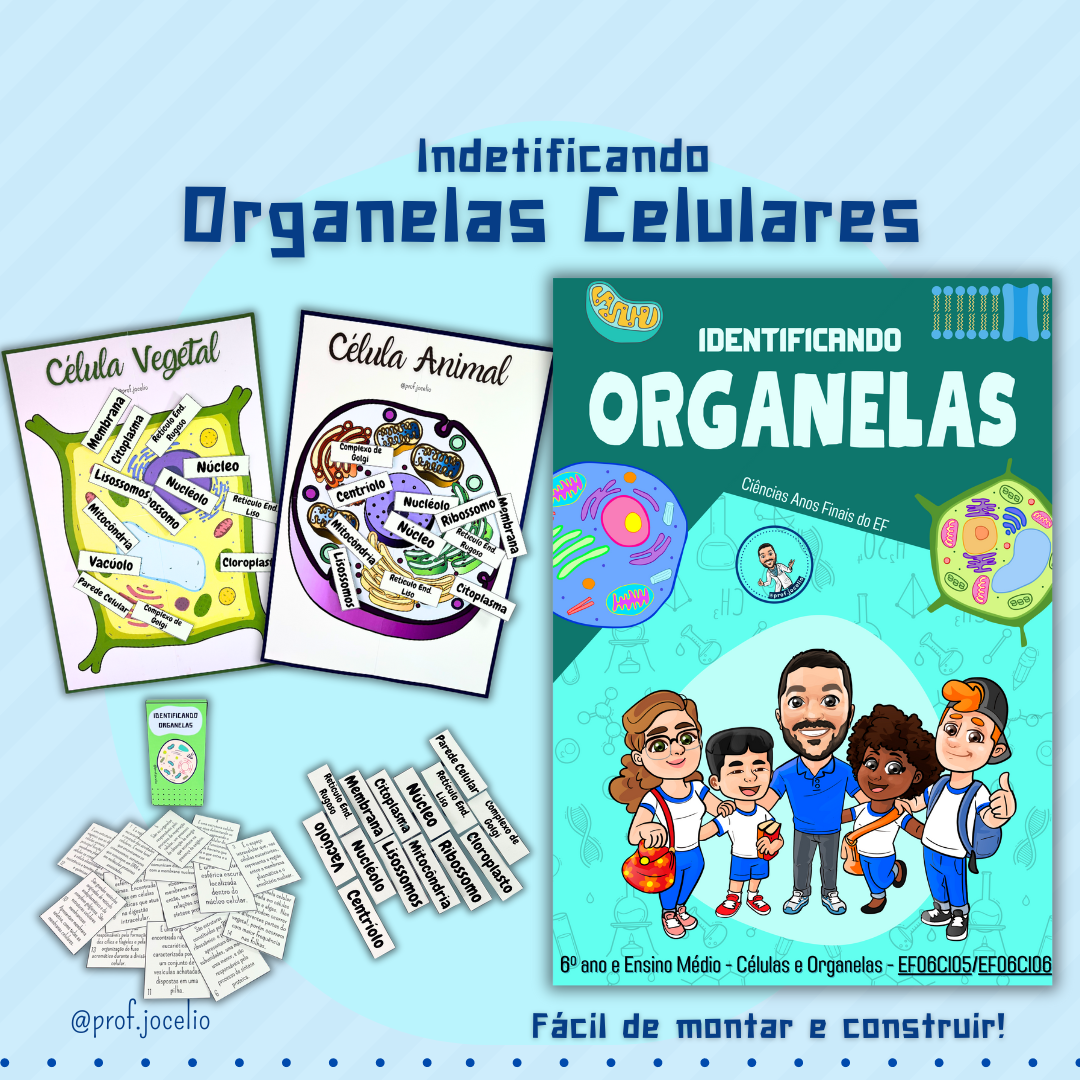 Identificando Organelas Celulares