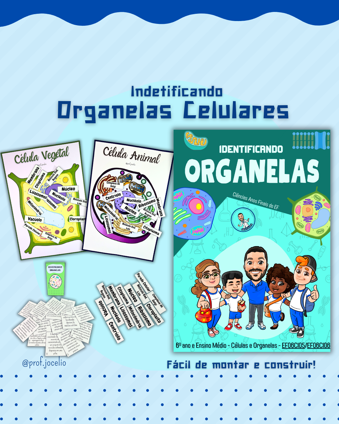 Identificando Organelas Celulares