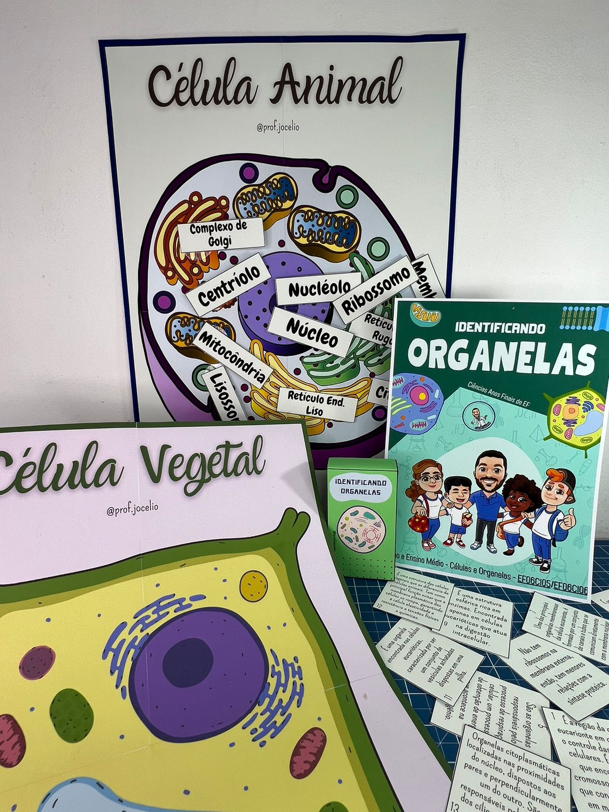 Identificando Organelas Celulares - Imagem 9