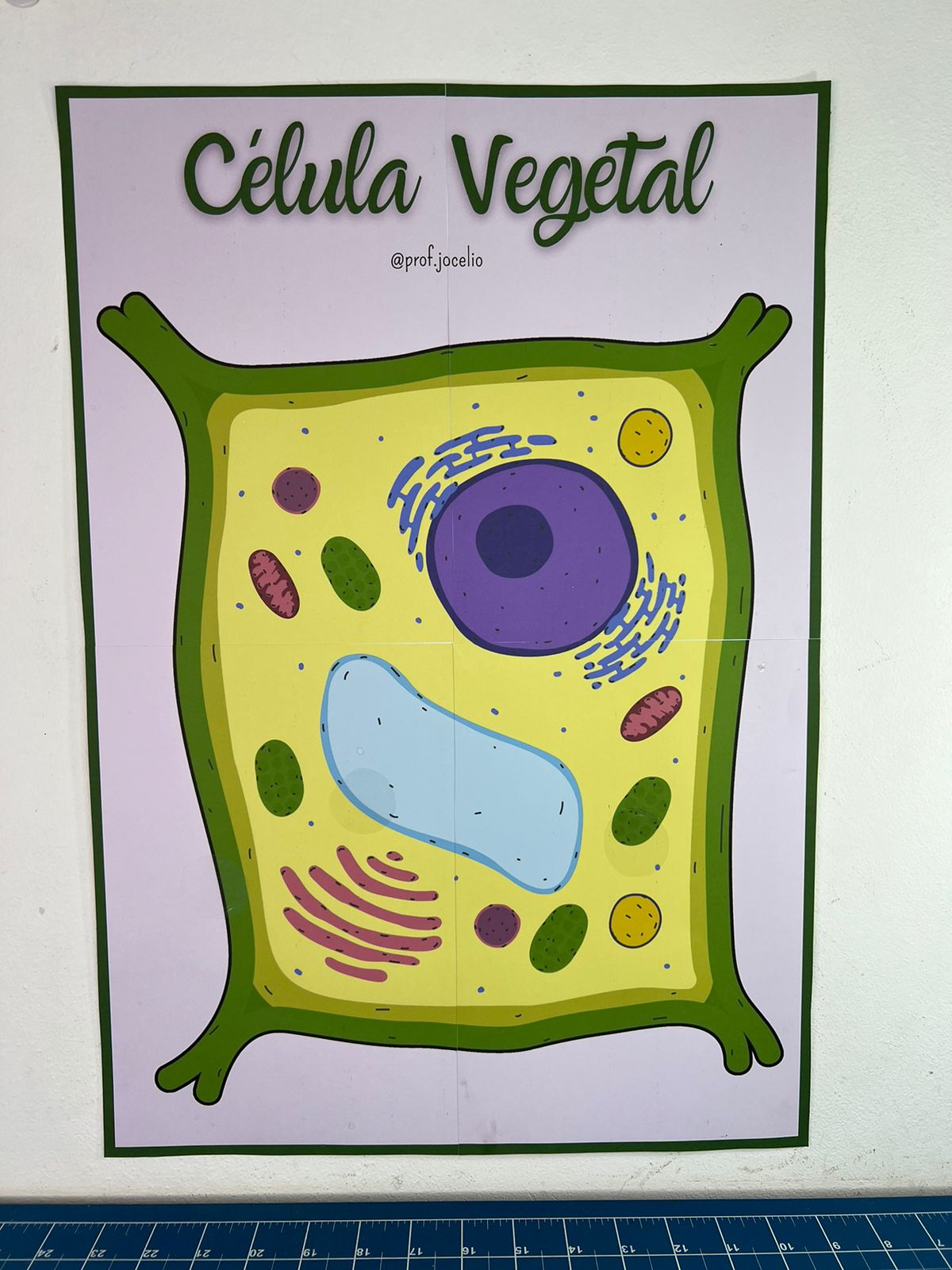 Identificando Organelas Celulares - Imagem 6