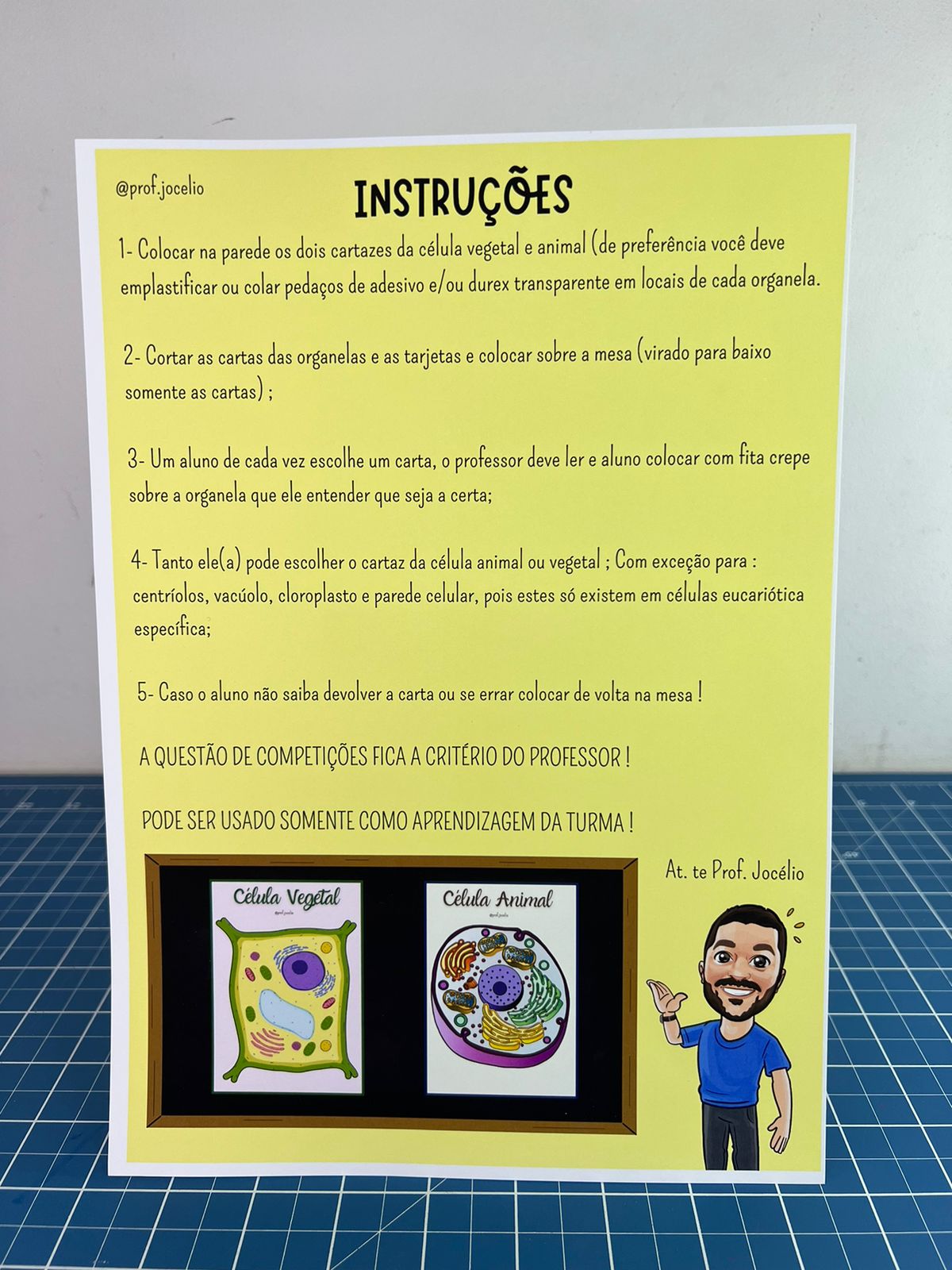 Identificando Organelas Celulares - Imagem 2
