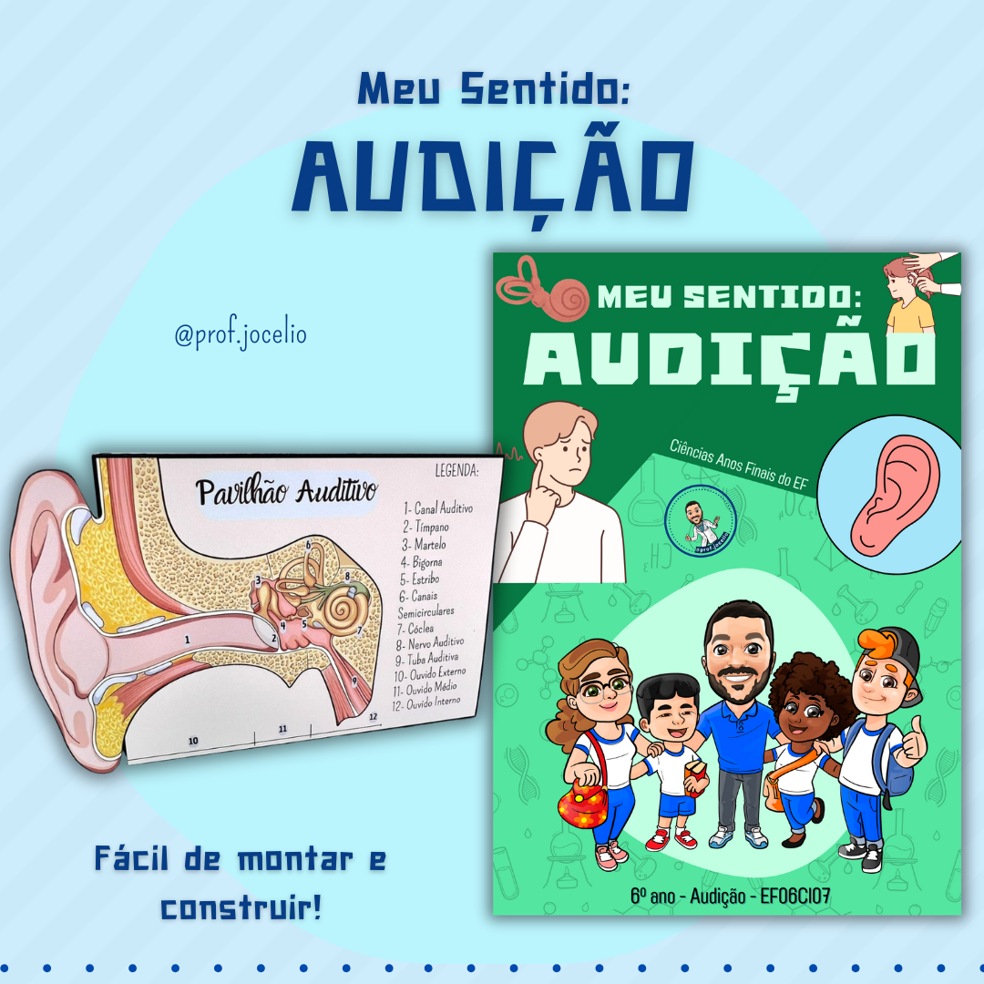 Meu Sentido: Audição