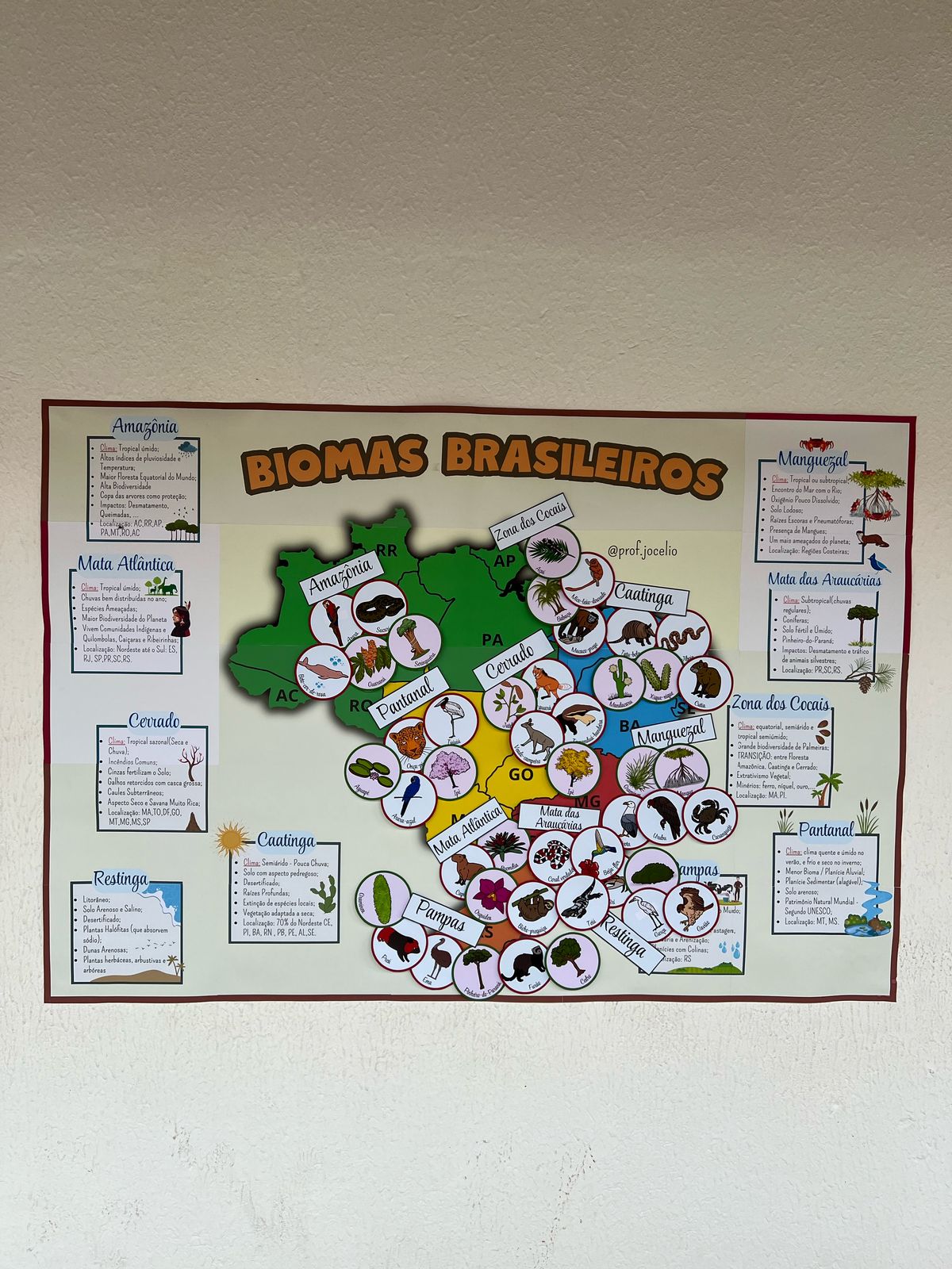 Biomas Brasileiros Cartaz GIGANTE ! - Imagem 16