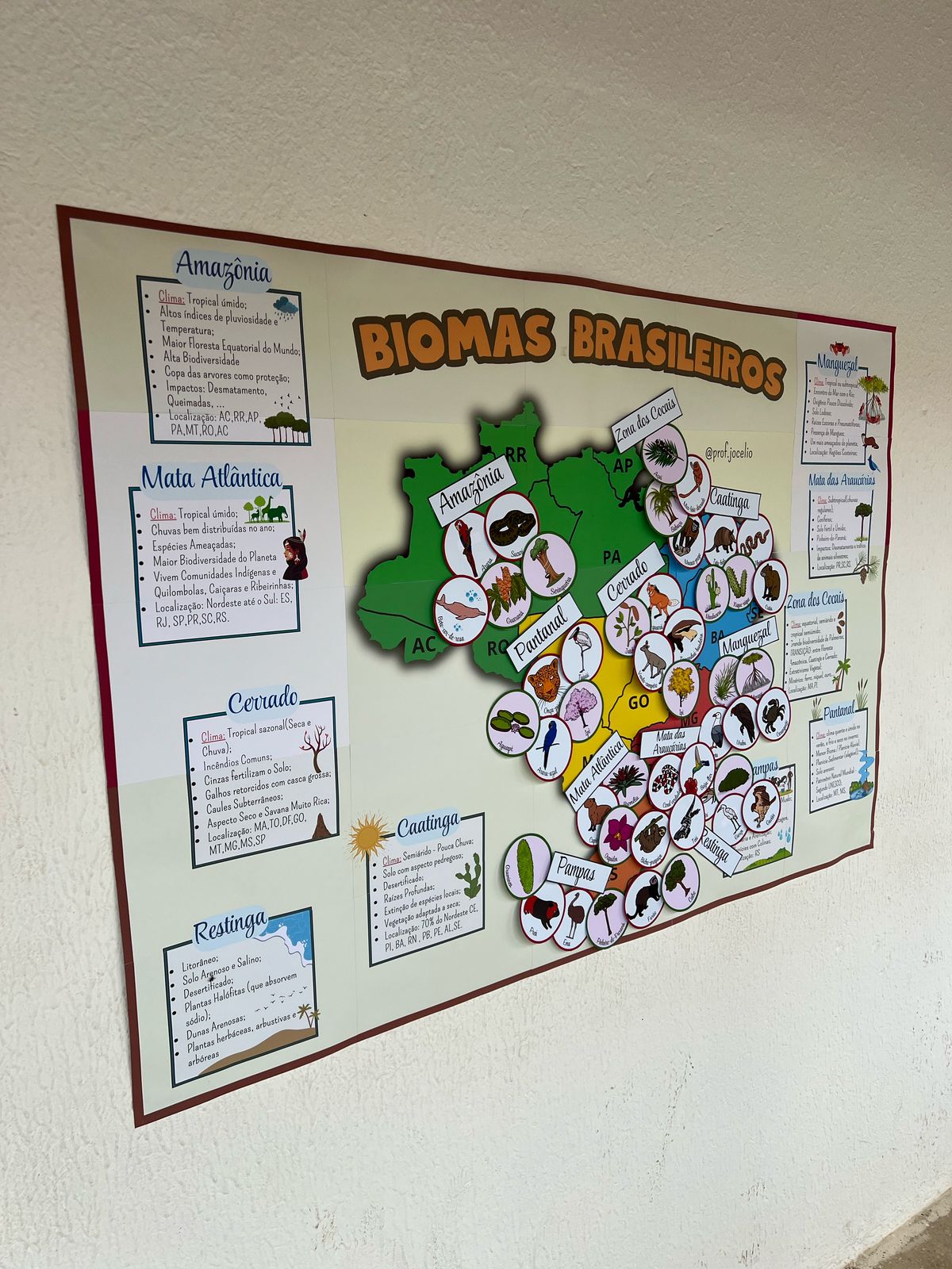 Biomas Brasileiros Cartaz GIGANTE ! - Imagem 15