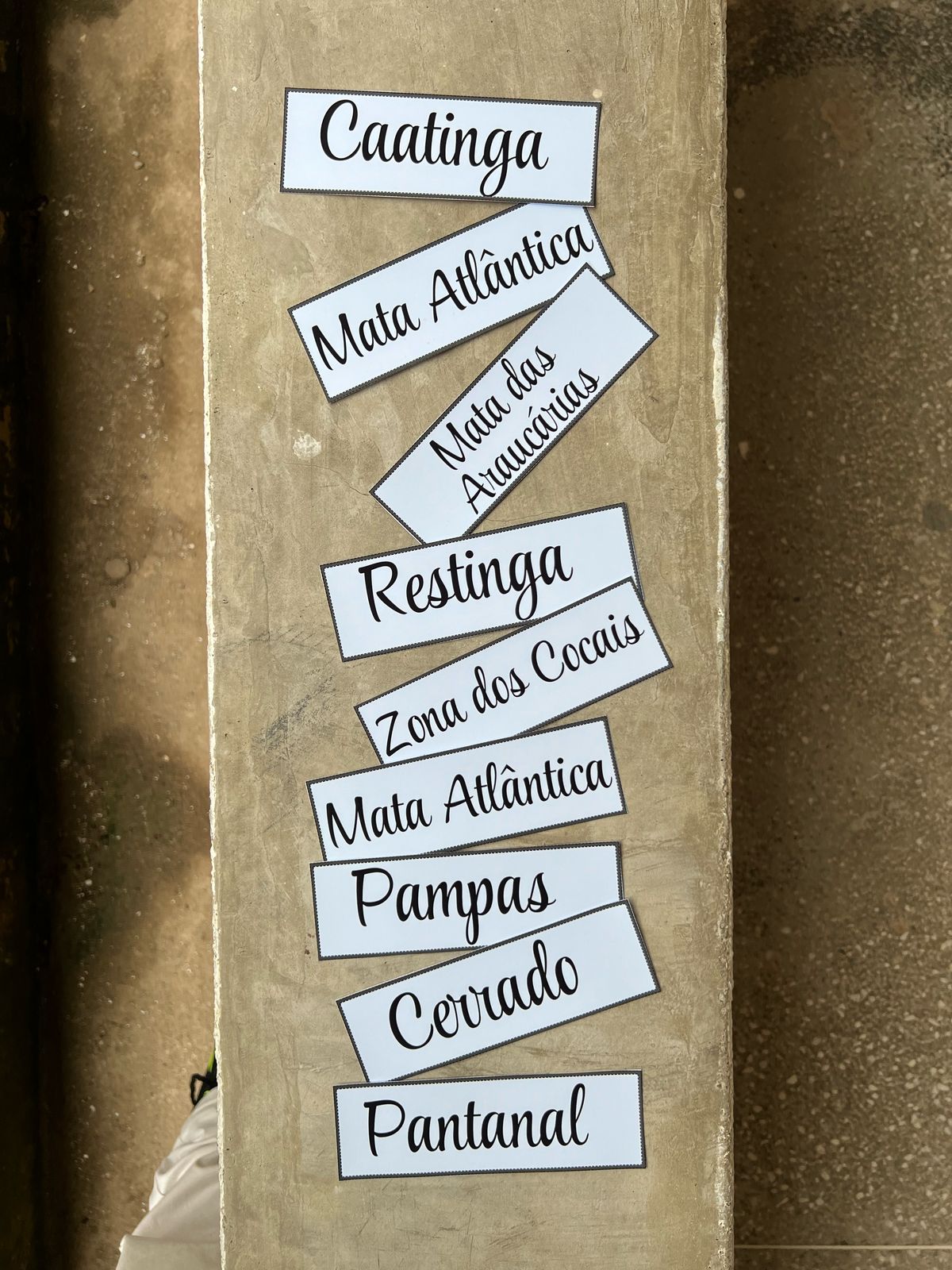 Biomas Brasileiros Cartaz GIGANTE ! - Imagem 10