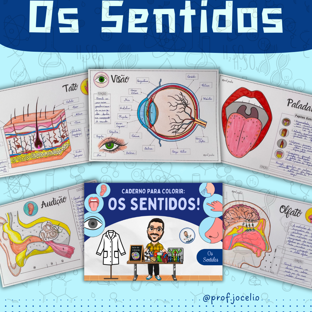 Os Sentidos - Caderno para Colorir!