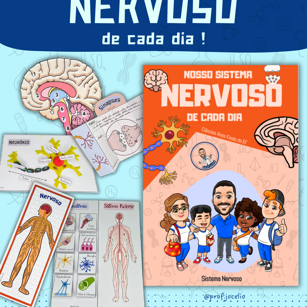 Nosso Sistema Nervoso de cada dia !
