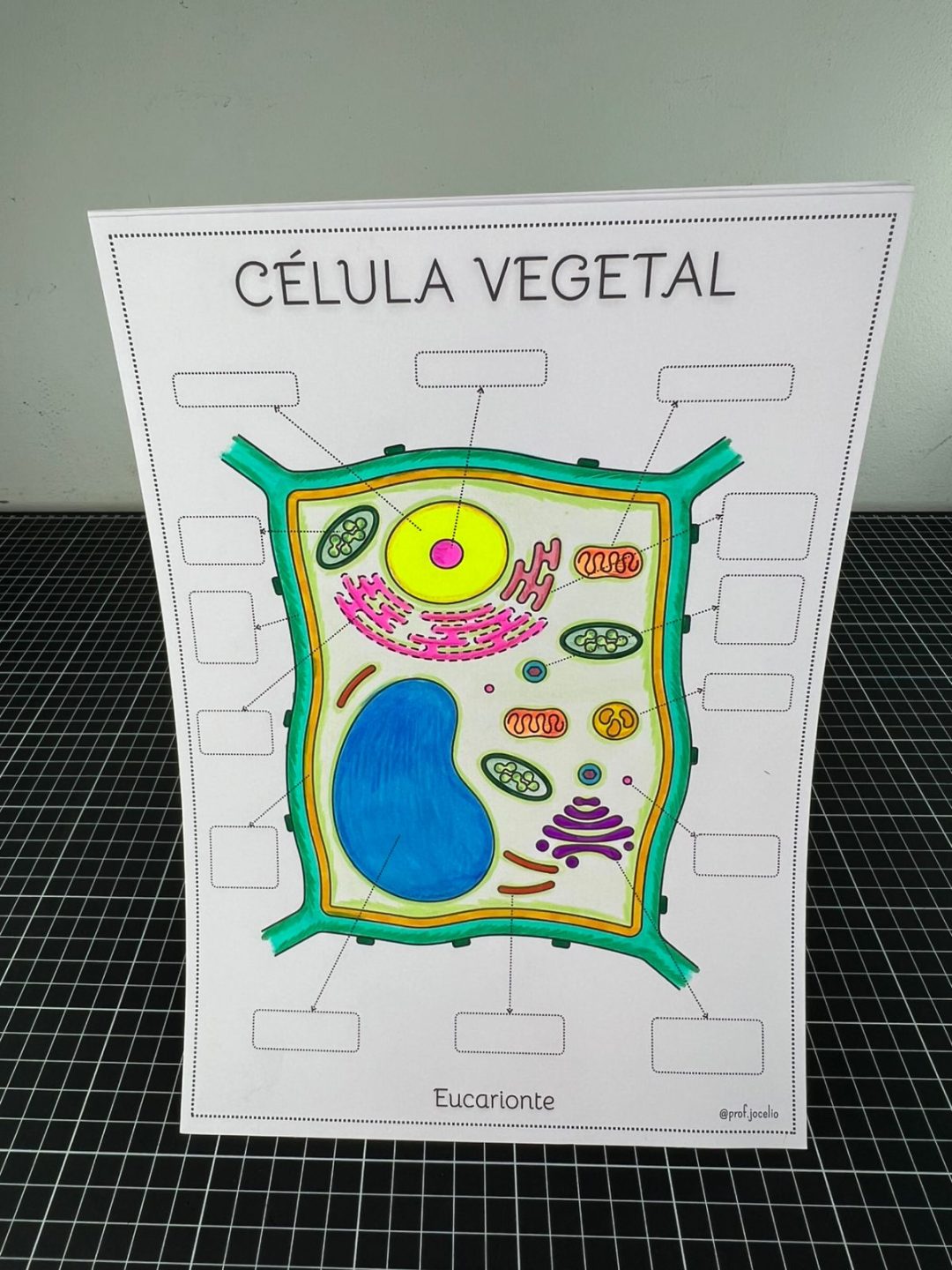As Células - Caderno para Colorir - Imagem 12