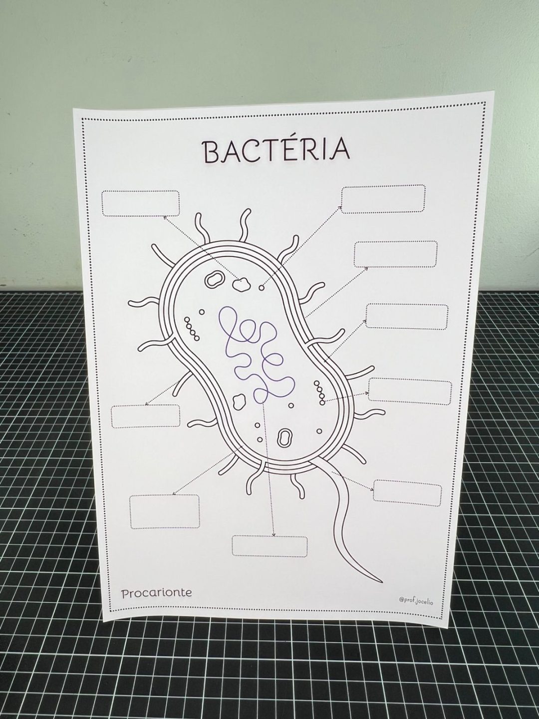 As Células - Caderno para Colorir - Imagem 11