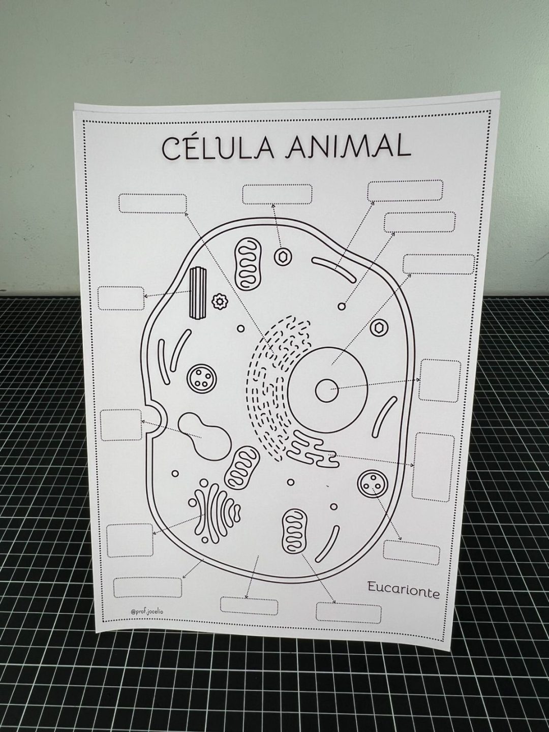 As Células - Caderno para Colorir - Imagem 10