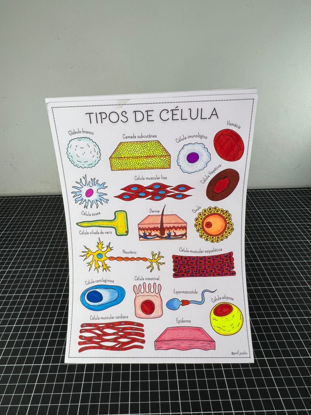 As Células - Caderno para Colorir - Imagem 9
