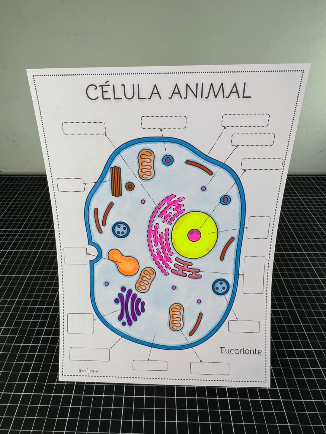 As Células - Caderno para Colorir - Imagem 6
