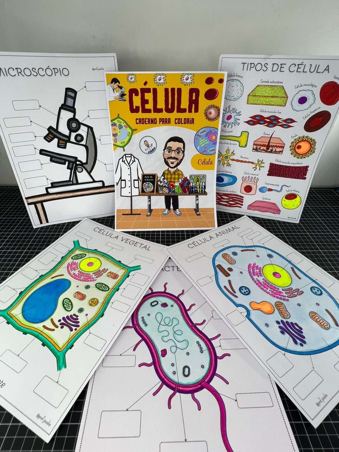 As Células - Caderno para Colorir - Imagem 5