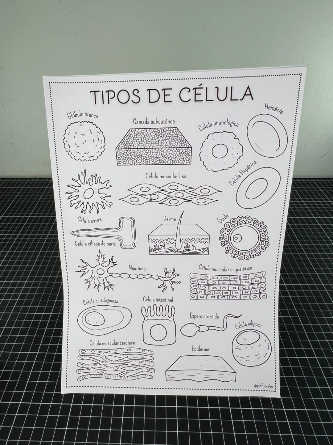 As Células - Caderno para Colorir - Imagem 4