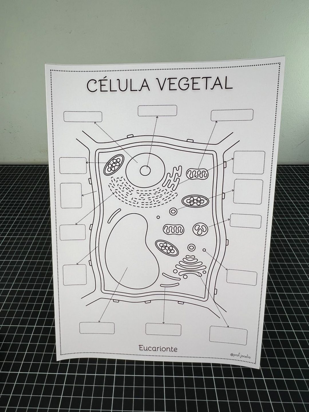 As Células - Caderno para Colorir - Imagem 3