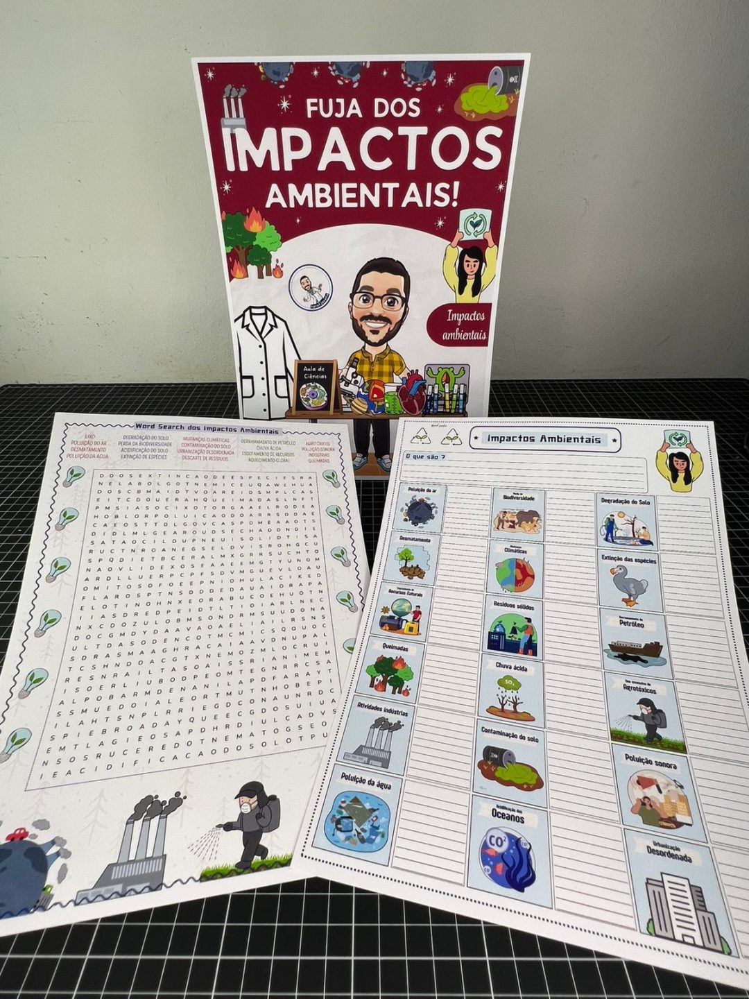 Impactos Ambientais – Atividades – Sua Loja de Atividades Pedagógicas ...