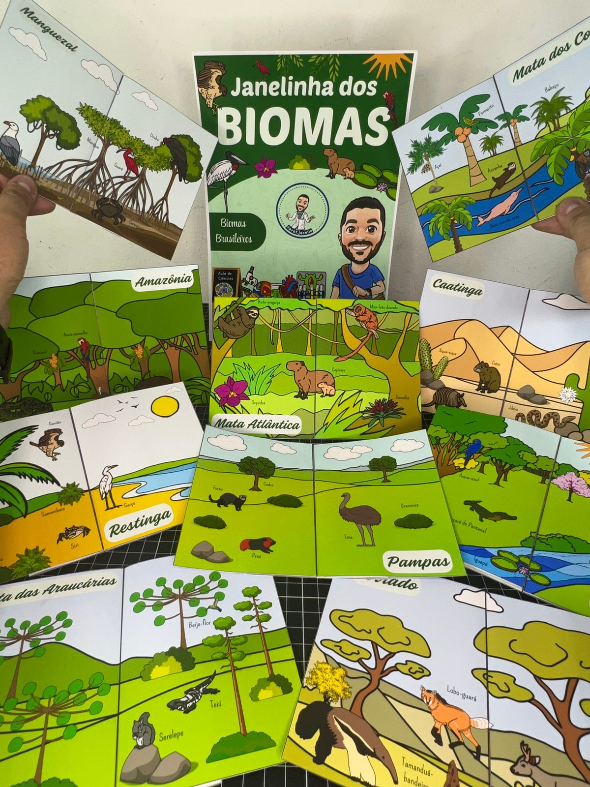 Janelinha dos Biomas Brasileiros - Imagem 13