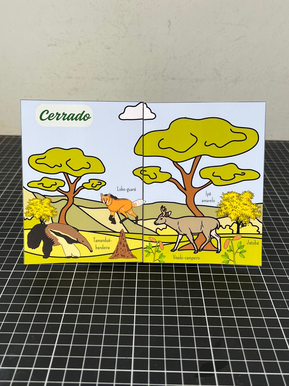 Janelinha dos Biomas Brasileiros - Imagem 7